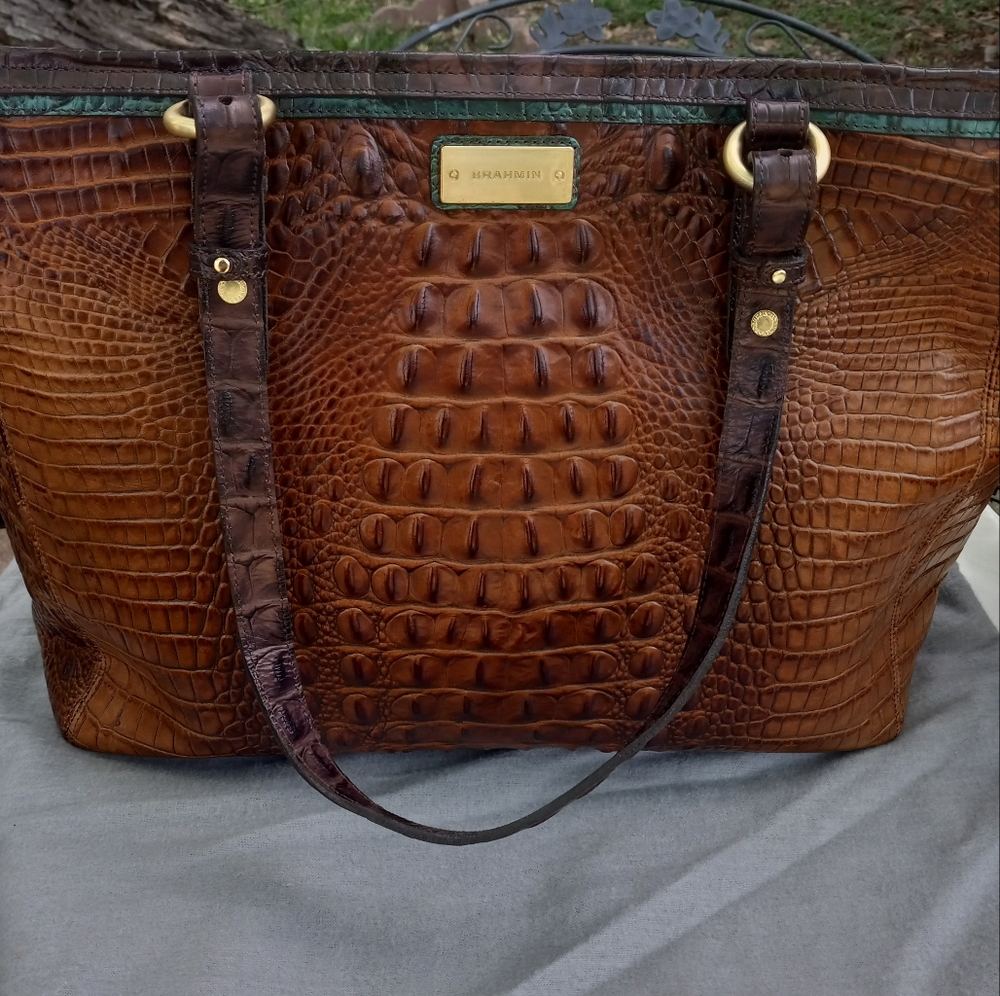 NWT Brahman Bag and dust bag, Brown with Green trim